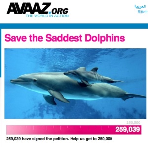 Avaaz, saddest dolphins, Samoa, tourism, impact, 
